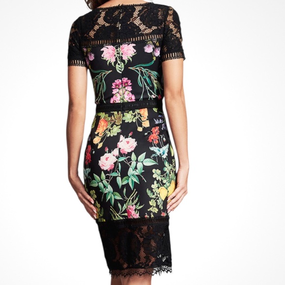 EUC Tadashi Shoji Leono Floral Print Dress Size 16 - Picture 2 of 14